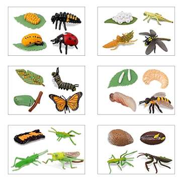 Odowalker Insect Life Cycle Figures - 24PC Educational Set