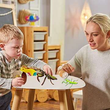 Odowalker Insect Life Cycle Figures - 24PC Educational Set