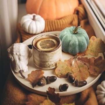 Gowfew Halloween Decoration Colorful Artificial Pumpkins Bulk Assorted Rustic Artificial Pumpkins De...