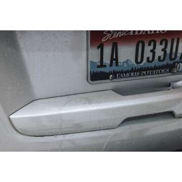 P & S PROFESSIONAL DETAIL PRODUCTS - Absolute Rinseless Wash - Premium Soap Alternative; Emulsify Dirt; Softens Water; Safe on Paint, Coatings, Wraps, PPF (1 Quart)