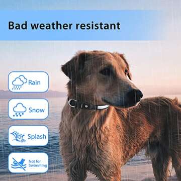 PcEoTllar LED Dog Collar - Colorful and Rechargeable