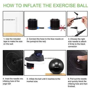 TOPLUS Exercise Ball Supports 2200lbs Includes Quick Pump & Professional Guide, 65 cm, Black