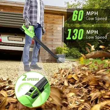 Lightweight Cordless Leaf Blower with Battery - 20V Handheld
