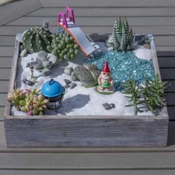 Altman Plants, Succulent Fairy Garden Kit (4 Pack), Live Succulents Plants Live Houseplants, Fairy Garden Accessories Terrarium Plants, Indoor Plants Live Plants Indoor House Plants, Succulent Plants