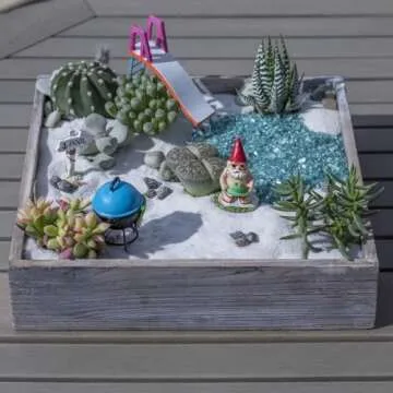 Altman Plants, Succulent Fairy Garden Kit (4 Pack), Live Succulents Plants Live Houseplants, Fairy Garden Accessories Terrarium Plants, Indoor Plants Live Plants Indoor House Plants, Succulent Plants