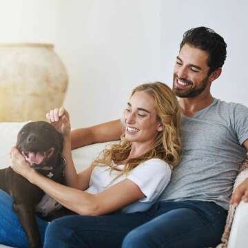 Posh Waterproof Pet Stroller for Travel with Cup Holder