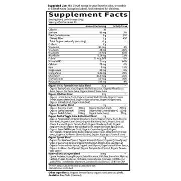 Garden of Life Detoxifying Greens Powder - Organic Superfood