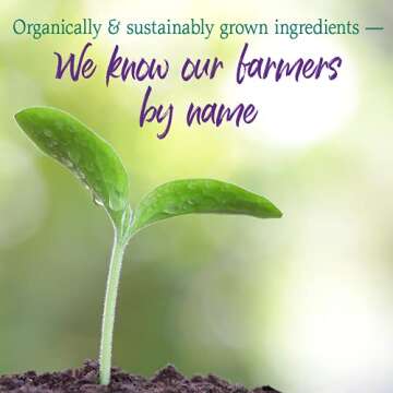 Garden of Life Detoxifying Greens Powder - Organic Superfood