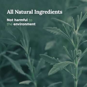 Magnificent 101 Set of 3 Long Lasting Pure Sage Smudge Candles - 42-Hour Burn, 3.5 Oz Each, Soy Wax, Sage Cleansing for House Energy, Meditation & Manifestation