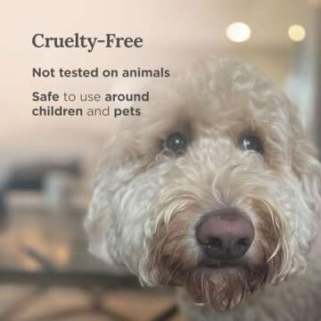 Magnificent 101 Set of 3 Long Lasting Pure Sage Smudge Candles - 42-Hour Burn, 3.5 Oz Each, Soy Wax, Sage Cleansing for House Energy, Meditation & Manifestation