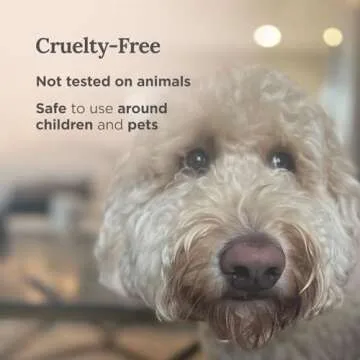 Magnificent 101 Set of 3 Long Lasting Pure Sage Smudge Candles - 42-Hour Burn, 3.5 Oz Each, Soy Wax, Sage Cleansing for House Energy, Meditation & Manifestation