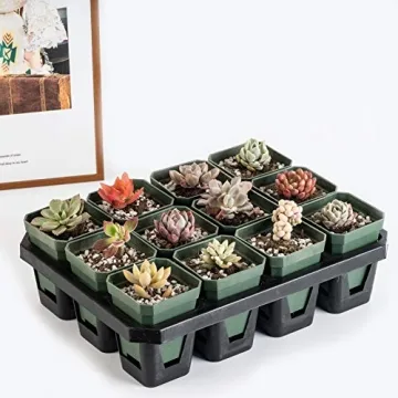 foxany 3" Plants Nursery Pot, 30 Pcs Thick Plastic Square Planting Pots, Plant Seedling Pots, Seed Starting Pots with 30 Saucers - Black-Green