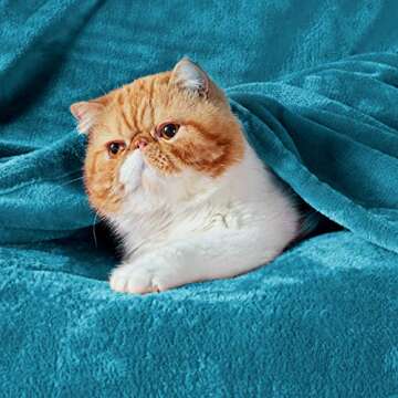 Bedsure Fleece Throw Blanket Teal - 300GSM Blankets for Couch, Sofa, Bed, Soft Lightweight Plush Coz...