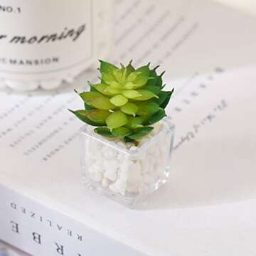 Cute Succulent Fridge Magnet, 4-Pieces 3D Plant Magnets for Refrigerator Whiteboard Mini Decorative Magnets for Locker Kitchen Office (Plant 5)
