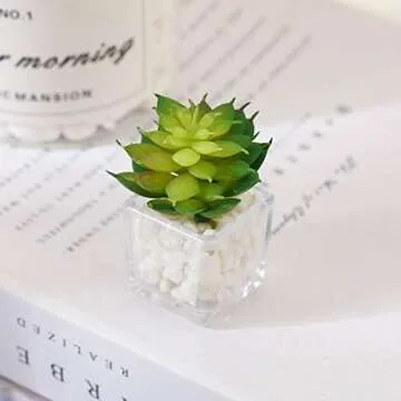 Cute Succulent Fridge Magnet, 4-Pieces 3D Plant Magnets for Refrigerator Whiteboard Mini Decorative Magnets for Locker Kitchen Office (Plant 5)