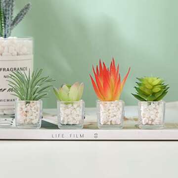 Cute Succulent Fridge Magnet, 4-Pieces 3D Plant Magnets for Refrigerator Whiteboard Mini Decorative Magnets for Locker Kitchen Office (Plant 5)