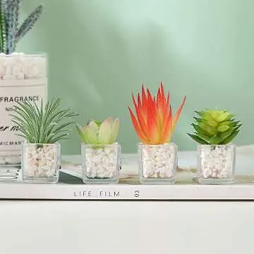 Cute Succulent Fridge Magnet, 4-Pieces 3D Plant Magnets for Refrigerator Whiteboard Mini Decorative Magnets for Locker Kitchen Office (Plant 5)