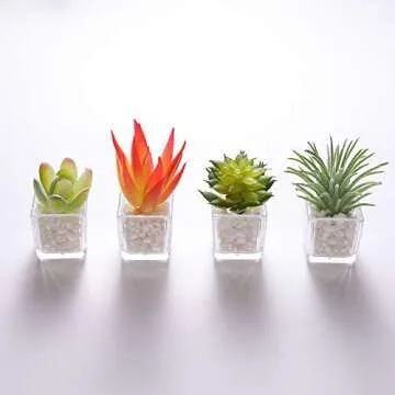 Cute Succulent Fridge Magnet, 4-Pieces 3D Plant Magnets for Refrigerator Whiteboard Mini Decorative Magnets for Locker Kitchen Office (Plant 5)