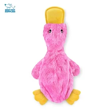 Best Pet Supplies Crinkle Dog Toy for All Breeds - Cute Duck