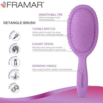Framar Detangling Brush for Smooth Thick Hair