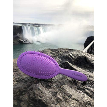 Framar Detangling Brush for Smooth Thick Hair