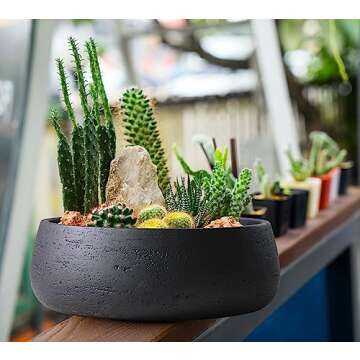 Olly & Rose Copenhagen Large Ceramic Planter Bowl Shallow Plant Pot - Matt Black Flower Pot Indoor a...