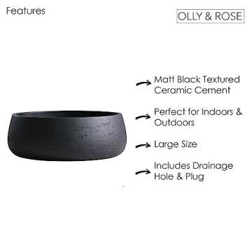 Elegant Olly & Rose Large Ceramic Planter Bowl for All