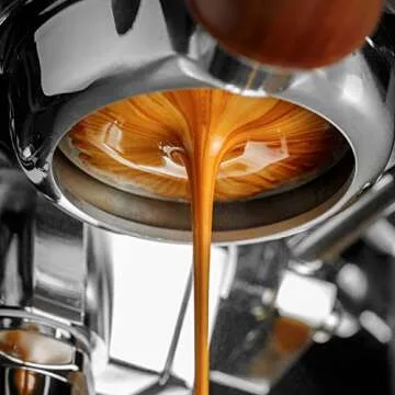 Browny Indonesian Sumatra Organic Roasted Coffee Whole Beans - Premium Artisan Dark Roast in 16oz (1 Pound)