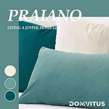 DOMVITUS 20x20 Pillow Covers Set of 2 Velvet Throw Pillow Covers Decorative Pillows for Bed Square Couch Pillows for Living Room Soft Accent Pillows Luxury Cushion Case for Sofa, Pale Teal