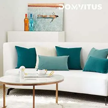 DOMVITUS 20x20 Pillow Covers Set of 2 Velvet Throw Pillow Covers Decorative Pillows for Bed Square Couch Pillows for Living Room Soft Accent Pillows Luxury Cushion Case for Sofa, Pale Teal