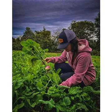 Domain Outdoor Show Stopper Food Plot Seed, 1/2 Acre, High Protein Forages with High Energy Tap Roots, Superior Re-Growth Potential, Easy to Plant, Fast Germination, Carefully Selected Plant Varieties