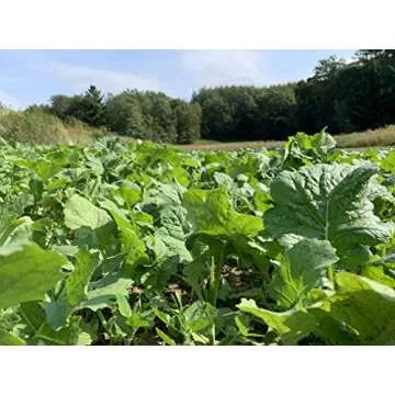 Domain Outdoor Show Stopper Food Plot Seed, 1/2 Acre, High Protein Forages with High Energy Tap Roots, Superior Re-Growth Potential, Easy to Plant, Fast Germination, Carefully Selected Plant Varieties