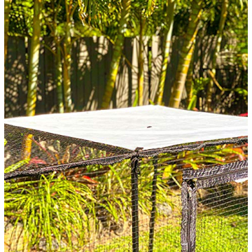 La Luna Cat Enclosure - Easy Setup and Portable Design