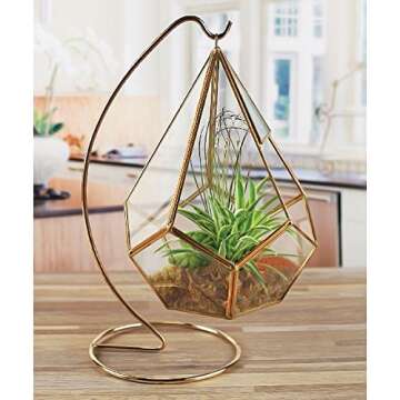 Circleware Hanging Glass Terrarium with Stand Geometric Tear Drop Shaped Holder for Succulents and Air Plants, Triangle-Gold 5.9x7.9