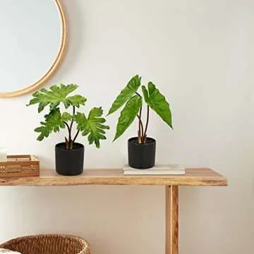 Hollyone Fake Plants Set of 2 Potted Faux Monstera Leaf Artificial Alocasia Plant in Matte Black Pot Greenery Aesthetic House Plants for Home Decor Indoor Bathroom Table Shelf Desk Office Decoration