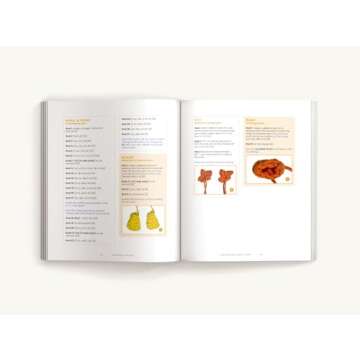 Amigurumi Critters: 25 Imaginative Crochet Designs for All Skill Levels (25 Patterns For Adorable Amigurumi Animals)