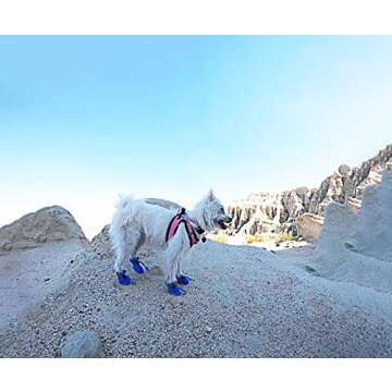 YAODHAOD Dog Shoes for Small Dogs, Anti-Slip Dogs Boots & Paw Protector for Winter Snowy Day, Summer Hot Pavement Dog Booties with Reflective Straps, Cat Dog Shoe for Indoor Hardfloors (Blue, 7)