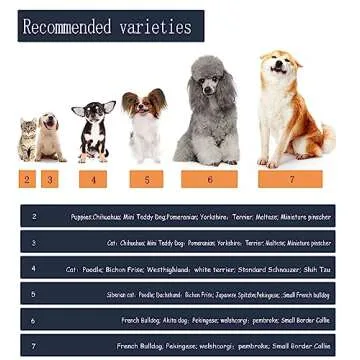 YAODHAOD Dog Shoes for Small Dogs, Anti-Slip Dogs Boots & Paw Protector for Winter Snowy Day, Summer Hot Pavement Dog Booties with Reflective Straps, Cat Dog Shoe for Indoor Hardfloors (Blue, 7)