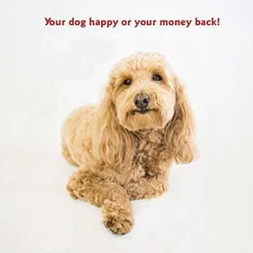 Majestic Pet Rectangle Medium Dog Bed Washable – Non Slip Comfy Pet Bed – Dog Crate Bed Super Value Pillow Dog Bed – Dog Kennel Bed for Sleeping - Dog Bed Medium Breed 35 x 28 Inch – Solid Black