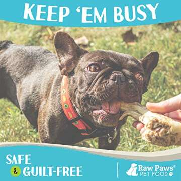 Raw Paws Freeze Dried Duck Necks for Dogs, 5-oz - Made in USA - All Natural Duck Dog Treats - Single Ingredient Duck Neck Dog Treat - Raw Freeze Dried Dog Treats