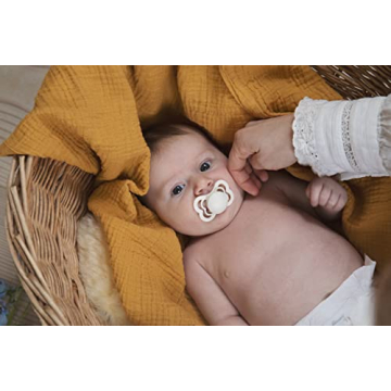 BIBS Try-it Baby Pacifier 4-Pack for Newborns Safety First