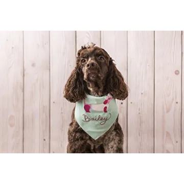 Cricut Easy Press for Custom Apparel and Crafts