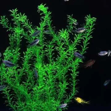 DSkoiph 2 pcs Aquarium Decor Plastic Plants Extra Large 21 Inches Artificial Fish Tank Plants Tall Fish Tank Decorations Artificial Green Water Plants (Green)