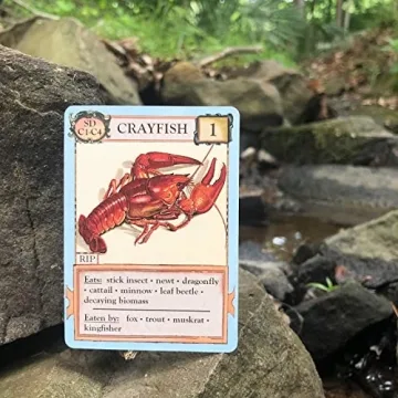 Montrose Biology Ecologies Card Game for All Ages