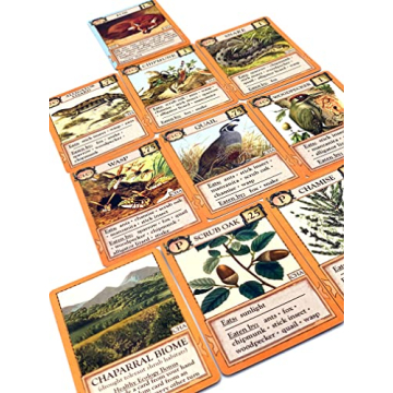 Montrose Biology Ecologies Card Game for All Ages