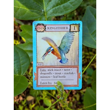 Montrose Biology Ecologies Card Game for All Ages