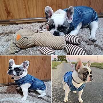 Brocarp Dog Jean Jacket, Blue Denim Lapel Vest Coat T-Shirt Costume Cute Girl Boy Puppy Clothes, Comfort and Cool Apparel, for Small Medium Dogs Cats, Machine Washable Outfits (Small, Blue)