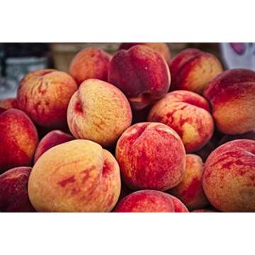 Bakto Flavors Natural Peach Flavor - 4 FL OZ