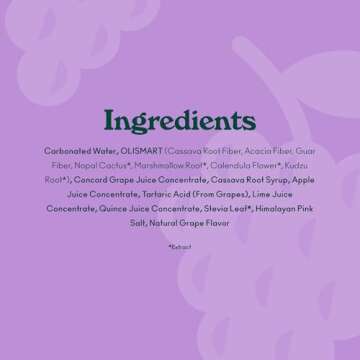 OLIPOP Prebiotic Soda Pop, Classic Grape, Pantry Pack Packed with Prebiotics, Fiber, and Botanicals, Gluten Free, Vegan, GMO Free, 12oz (12-Cans)