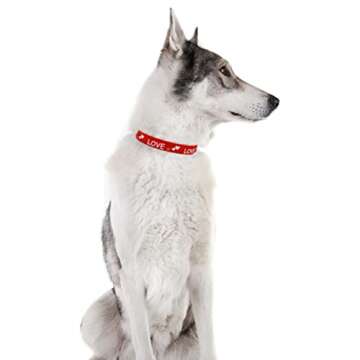 2 Pack Valentine’s Day Dog Collar Adjustable Heavy Duty Nylon Holiday Pet Collars Red and Pink Small